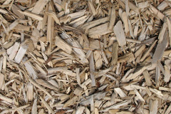 biomass boilers Haskayne